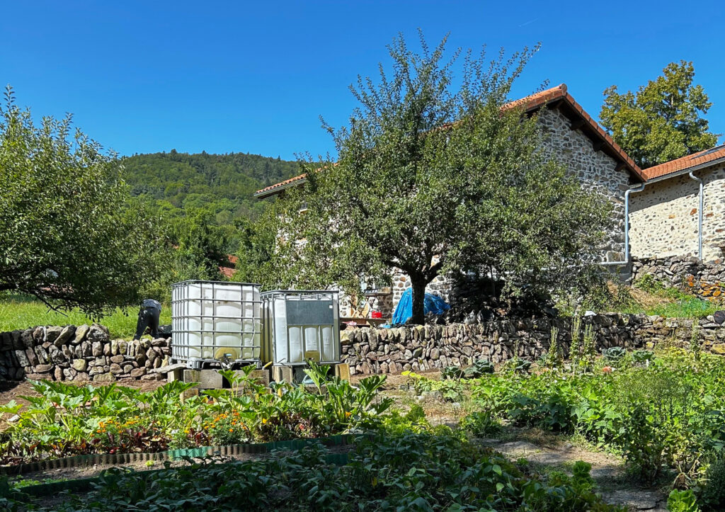 Muret de clôture en pierre sèche à Girodon Muret de clôture en pierre sèche à Girodon en Haute-Loire