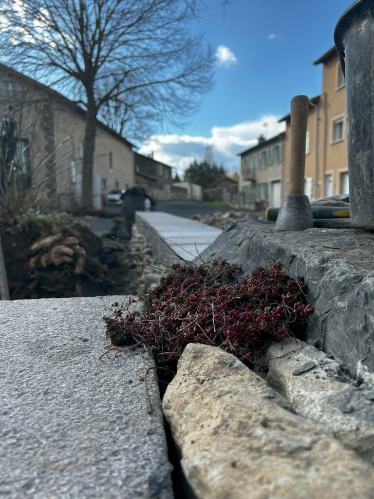 Couvertine en pierre de taille à Borne Détail d’une couvertine en pierre de taille sur un muret de Borne