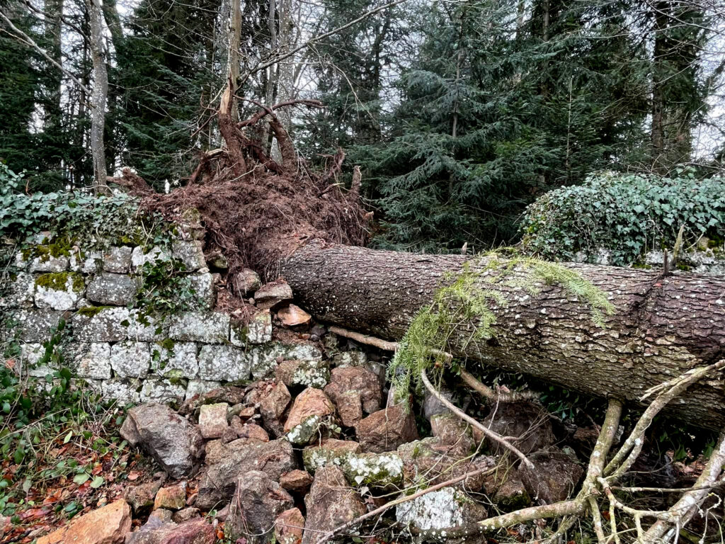 Mur d’enceinte en pierre sèche du Château de Figon à Raucoules