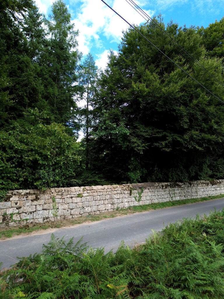 Chantier de restauration du mur d’enceinte du Château de Figon