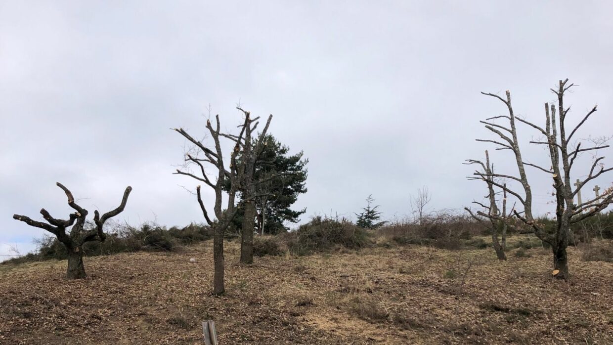 Muret de soutènement en pierre sèche à Blavozy, format paysage